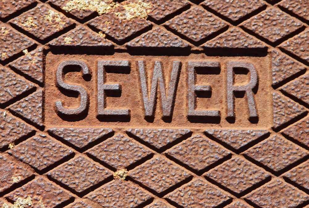 Should you get a sewer line inspection before buying a house in Birmingham?